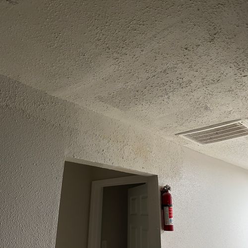 https://wwafoivymxhiaekkaivr.supabase.co/storage/v1/render/image/public/work_photos/56d170db-3107-4229-a085-852126daecc2/image/38b7d0cd-cd32-4352-a799-8bc9823ada69?width=500&height=500
