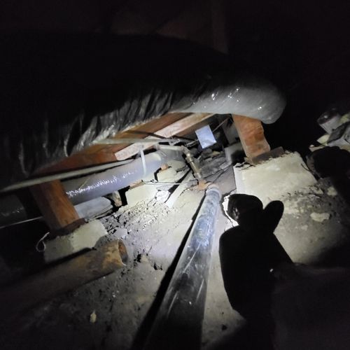 https://wwafoivymxhiaekkaivr.supabase.co/storage/v1/render/image/public/work_photos/5fec364e-4127-4dea-b318-933b8a0f3965/image/13452026-4387-4243-a68a-78694fbcfd19?width=500&height=500