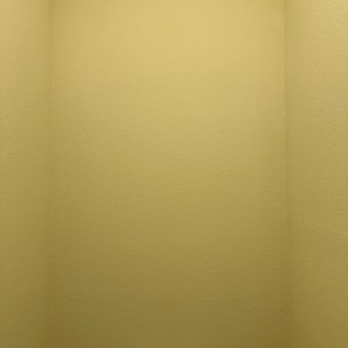 https://wwafoivymxhiaekkaivr.supabase.co/storage/v1/render/image/public/work_photos/b4d2c0cb-52c2-4e44-8b70-4a2d231f0dfd/image/759f93ef-84cc-4a92-8169-793d071839a0?width=500&height=500