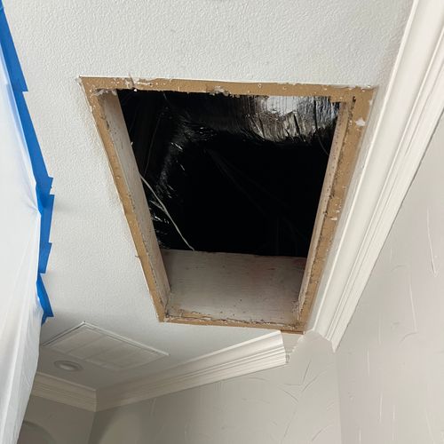 https://wwafoivymxhiaekkaivr.supabase.co/storage/v1/render/image/public/work_photos/dff374e0-34a4-474e-9363-a30255222b4b/image/dc1db916-6a3d-48d2-ba2d-2ada71f4c8ec?width=500&height=500