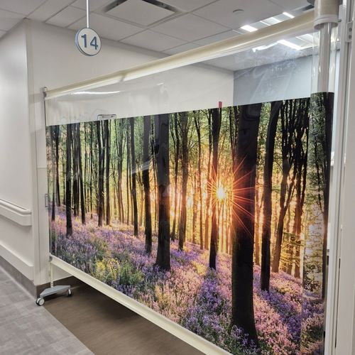 https://wwafoivymxhiaekkaivr.supabase.co/storage/v1/render/image/public/work_photos/f6d288ef-78cf-4cc9-9bac-696db1ac01f7/image/8e0b34c0-8819-4b55-b963-9a329a480e94?width=500&height=500